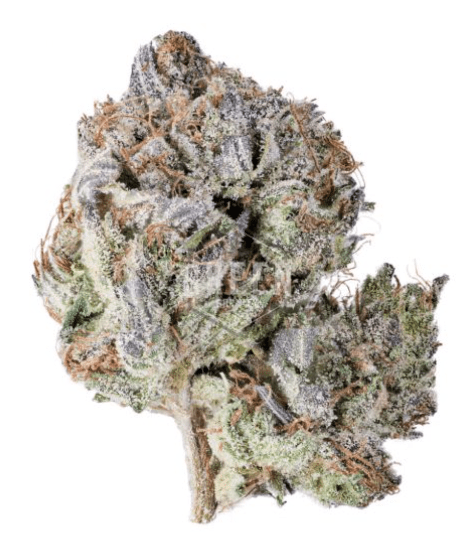 ICEWRECK1