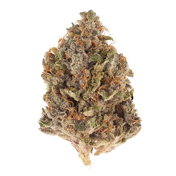 CHERRY GORILLA