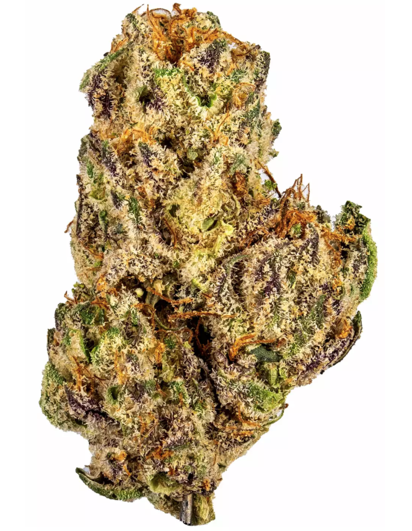 GhostOG GHOST OG Strain