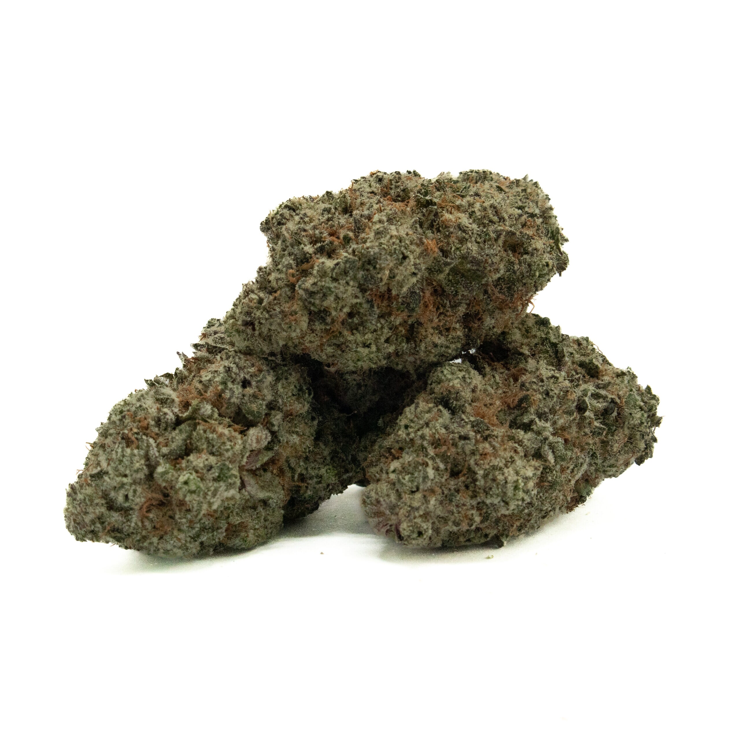 PURPLE FROST-2