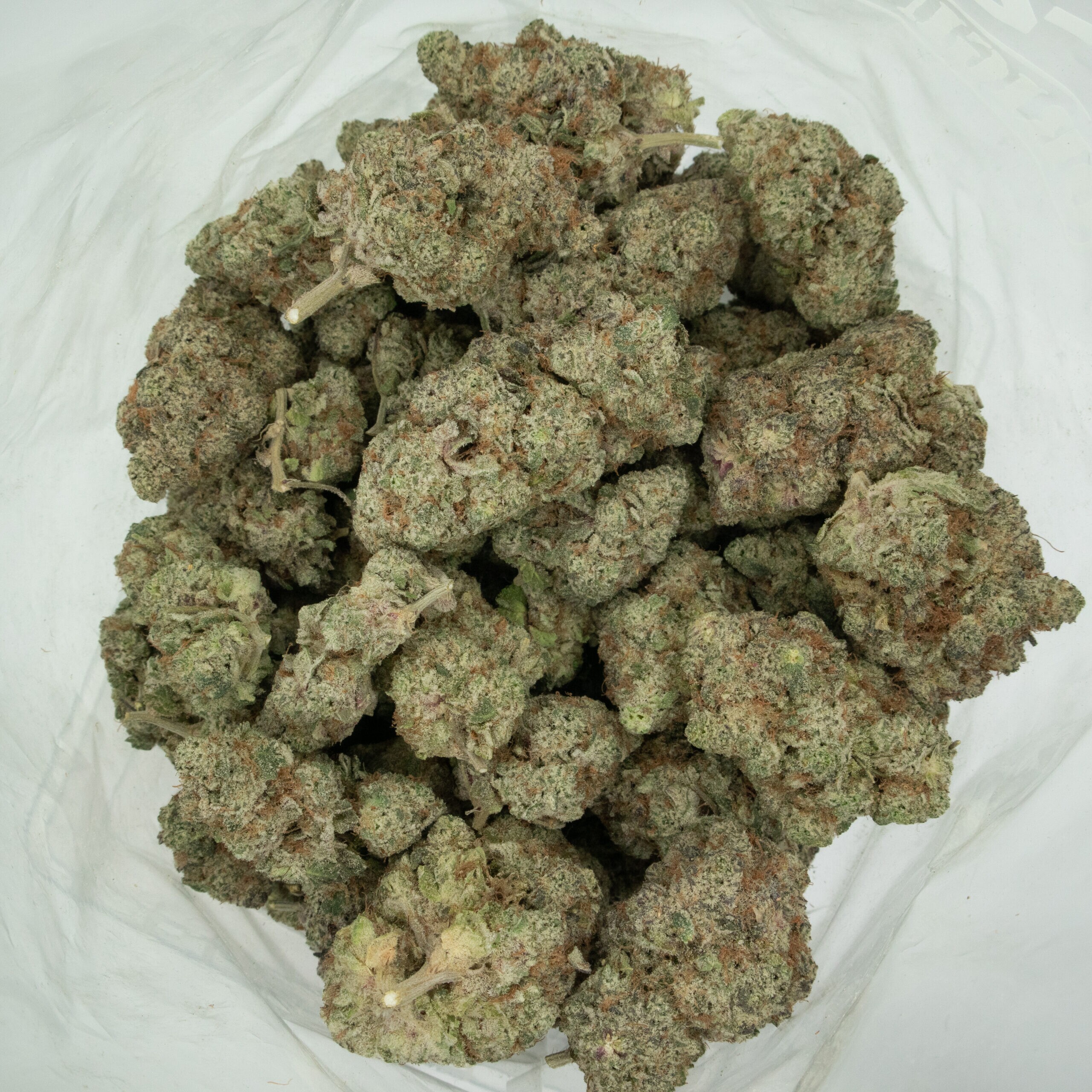 PURPLE FROST-3