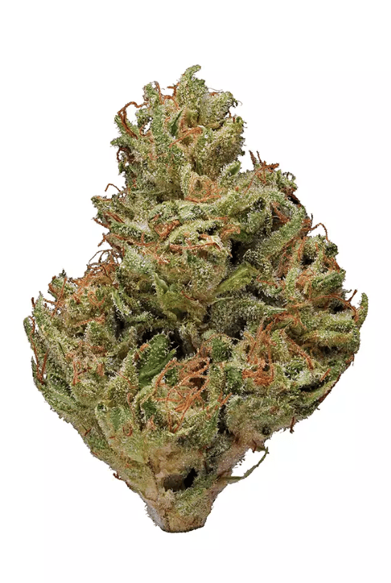 BLACK LIME - Indica (AAA)