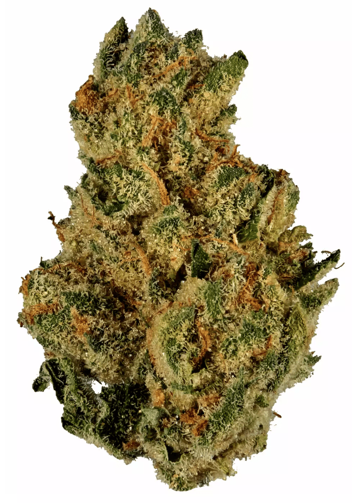 GREASE MONKEY - Hybrid (AAA)