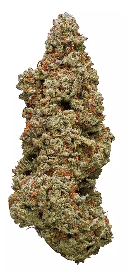 CHEESE QUAKE - Hybrid (AAA)