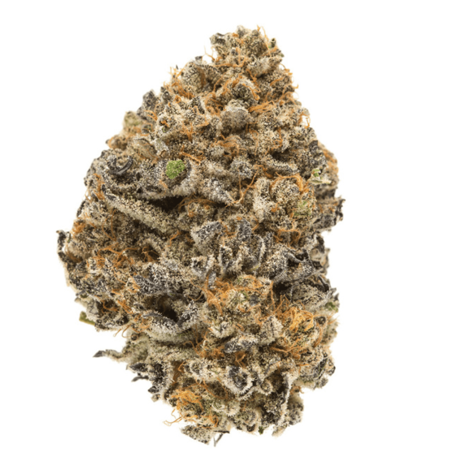 PLATINUM GIRL SCOUT COOKIES STRAIN - Hybrid (AAA)