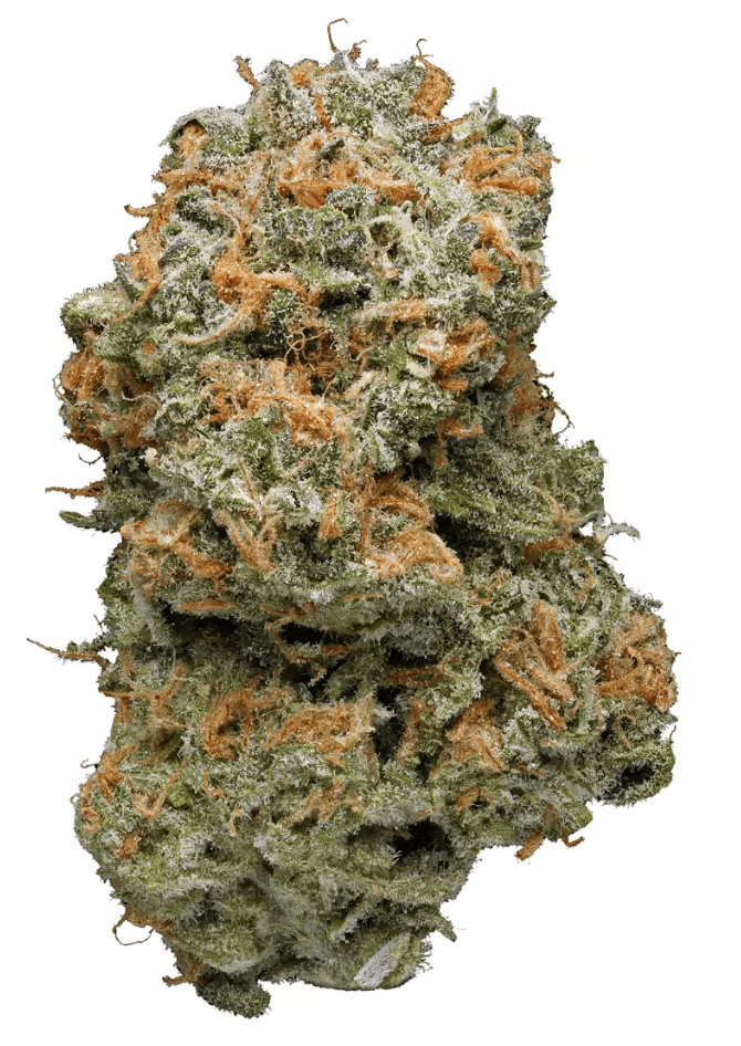 BLUE DREAM - Hybrid (AA+)