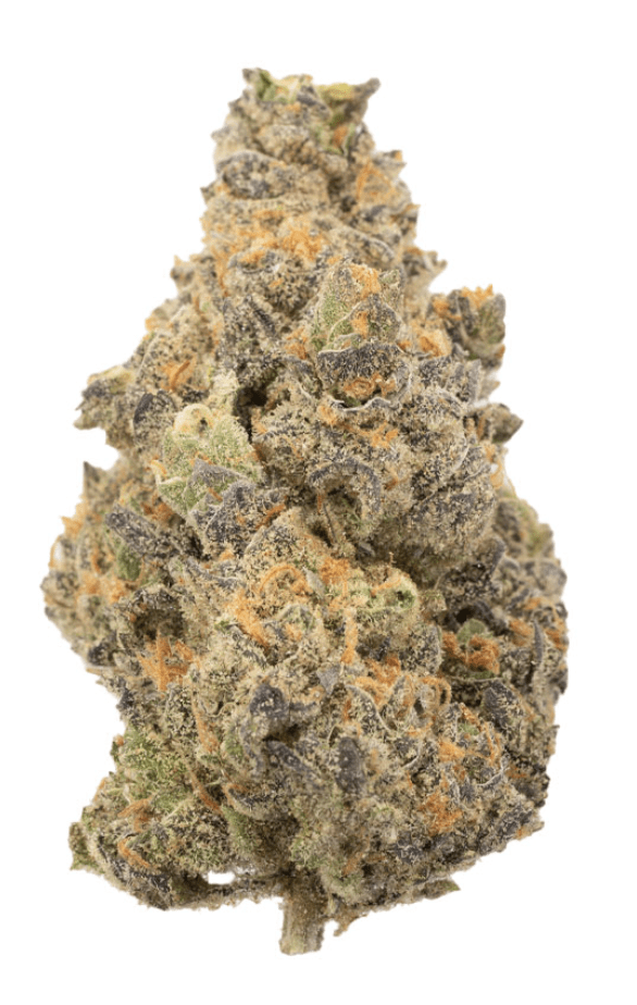 BLACK NUKEN STRAIN - Hybrid (AA+)