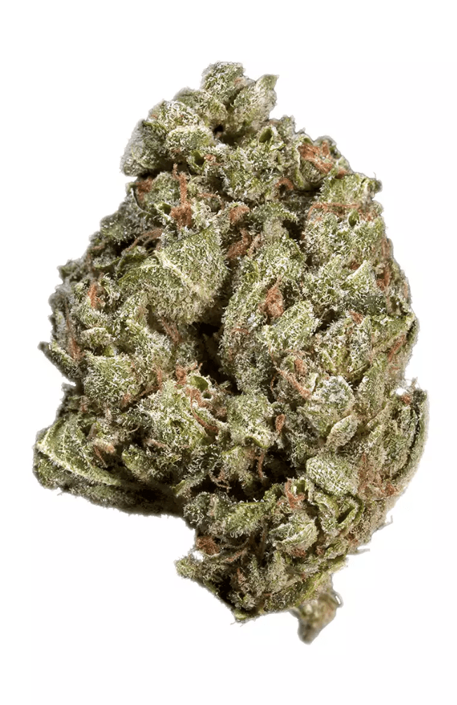 SUPER SOUR ALIEN - Hybrid (AAA)