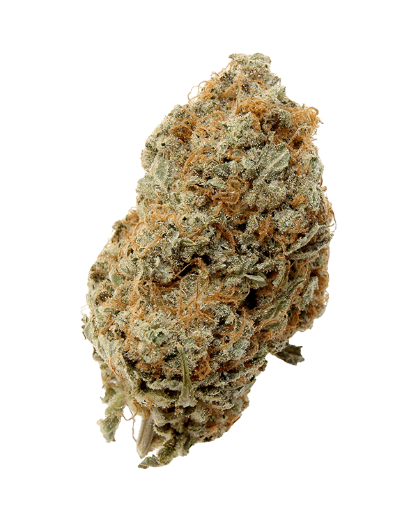 ISLAND GIRL STRAIN - Sativa (AAA)