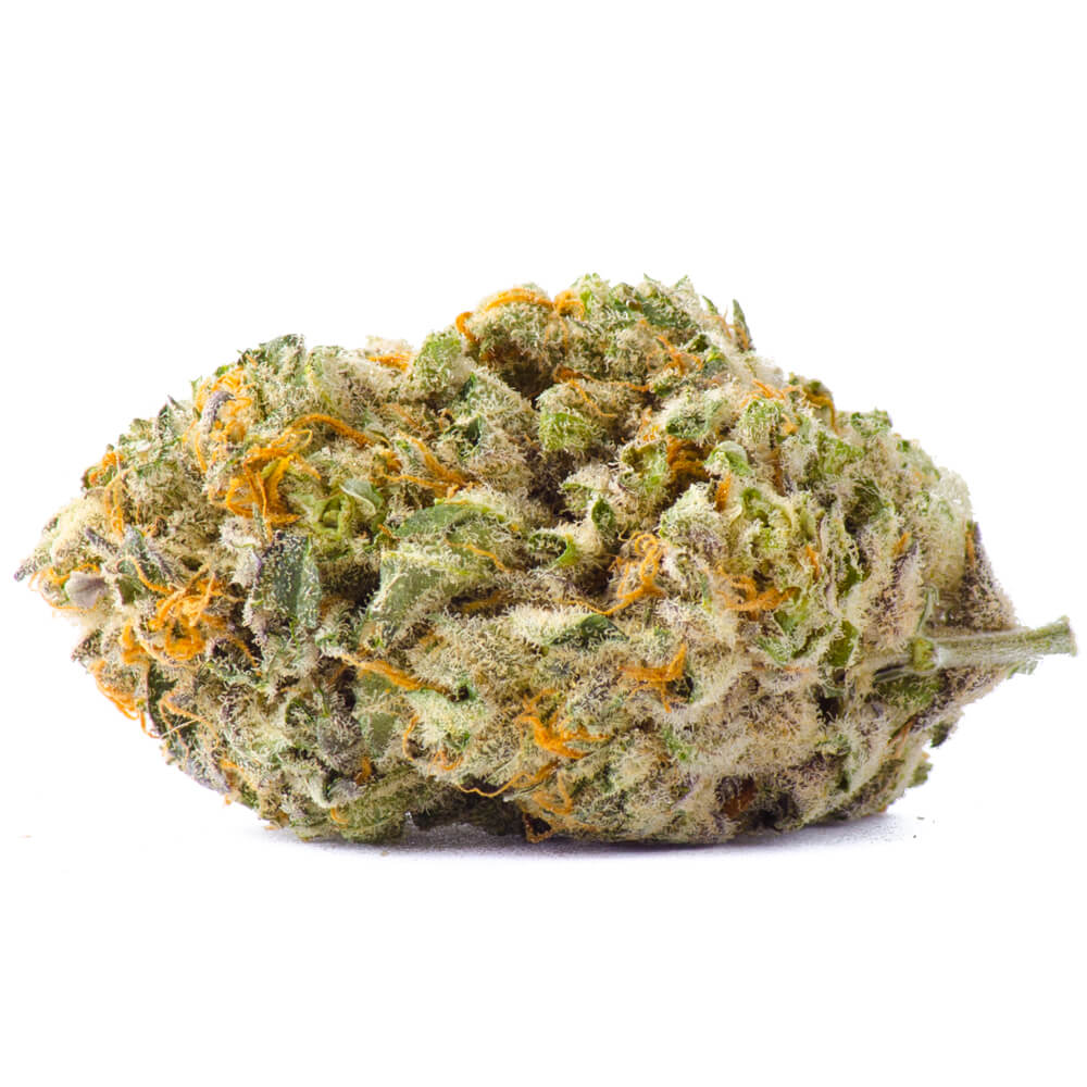 KING TUT STRAIN- Sativa (AAA)