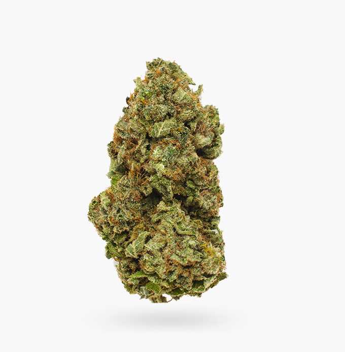 STRAWBERRY JERRY - Sativa (AAA)
