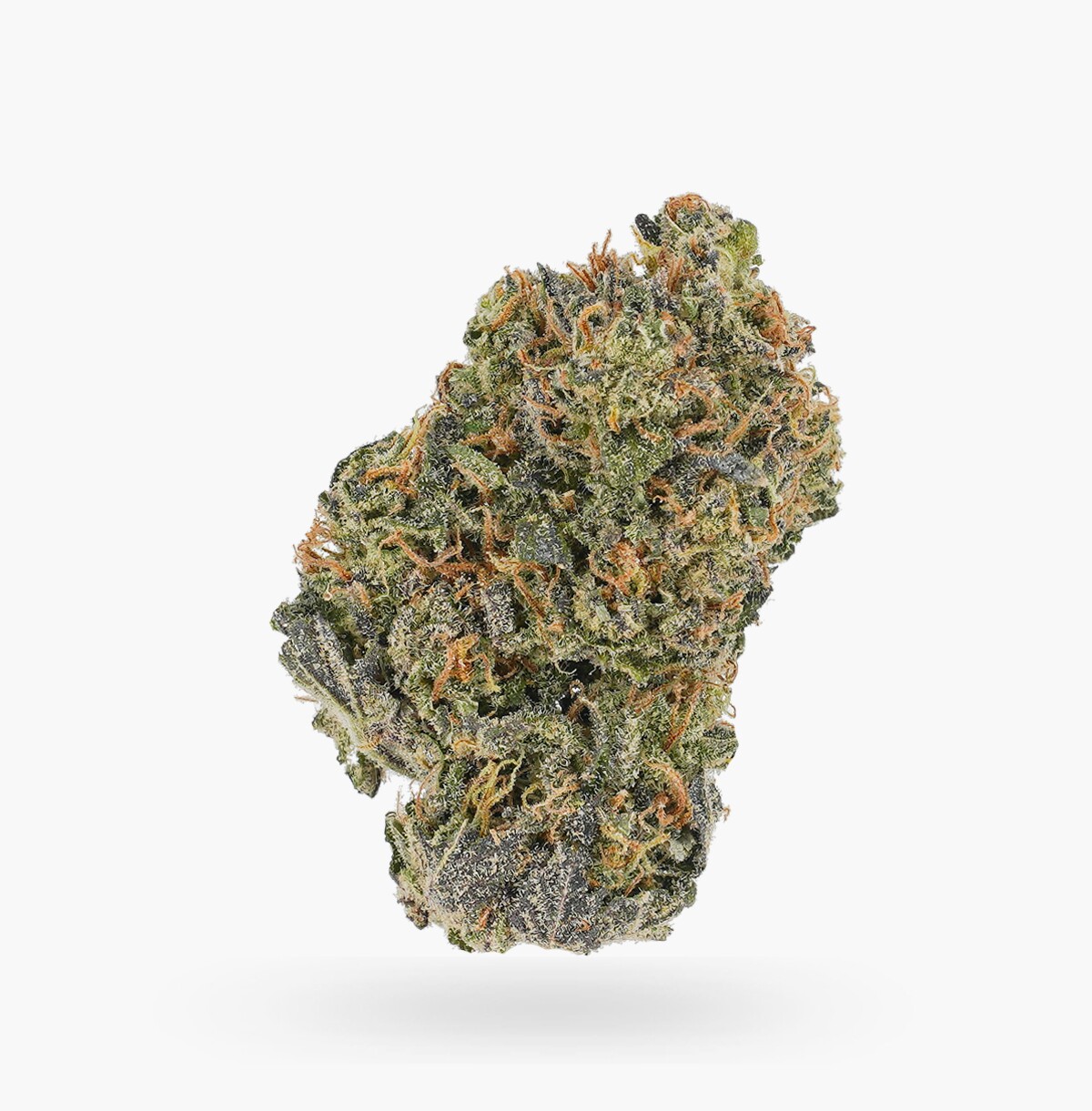 AYAHUASCA PURPLE - Indica (AAA)