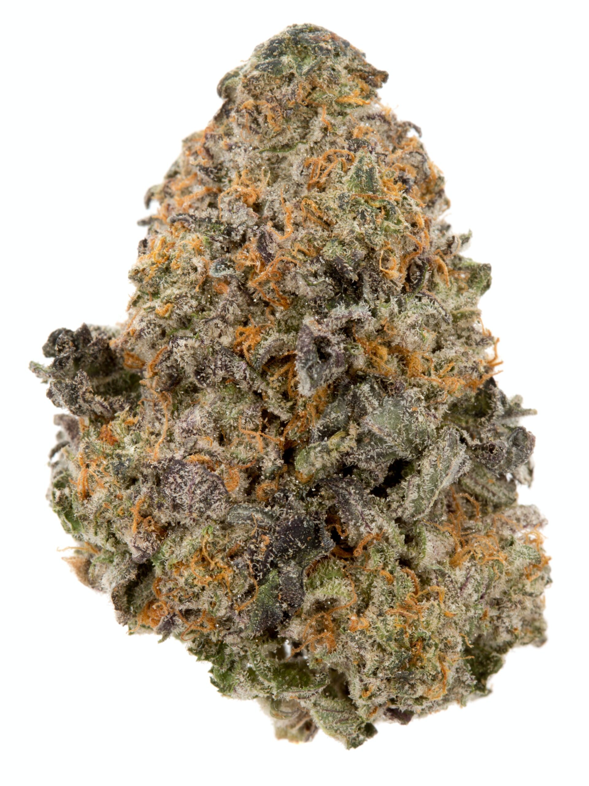 DOLCE GELATO - Indica (AAAA)