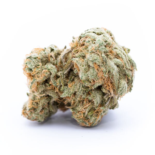SUNDAE DRIVER - Hybrid (AAAA)