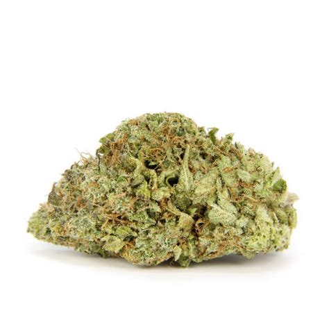UK CHEESE - Indica (AAA+)