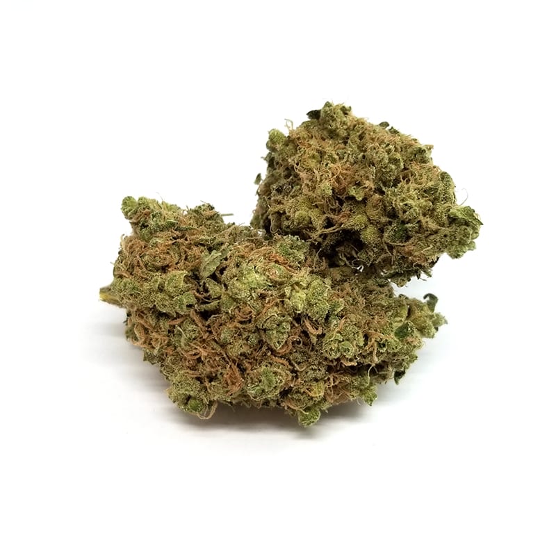 WIDOW CHEESE - Hybrid (AAA+)