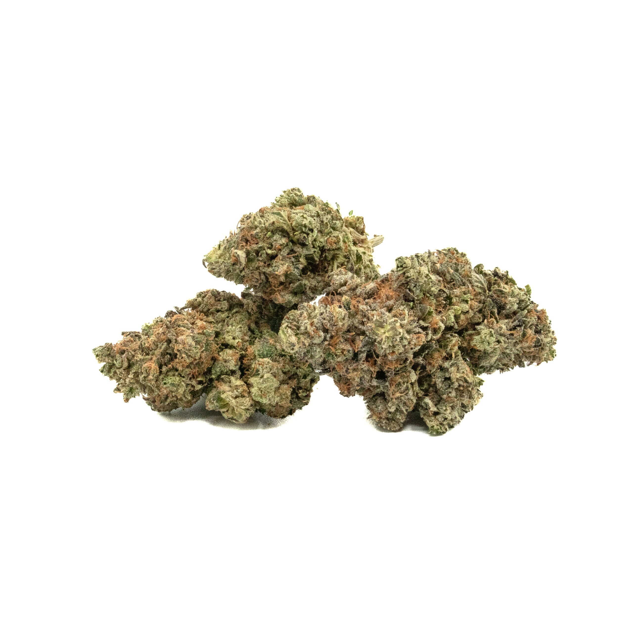 MASTER HAMMER - Indica (AAAA)