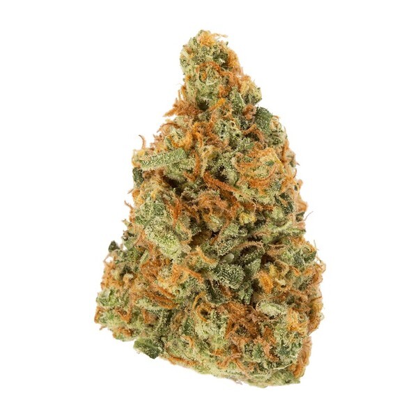 ORANGINA - Hybrid (AAA)
