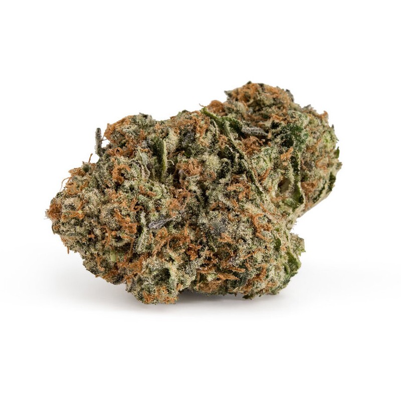 Sapphire Scout Strain