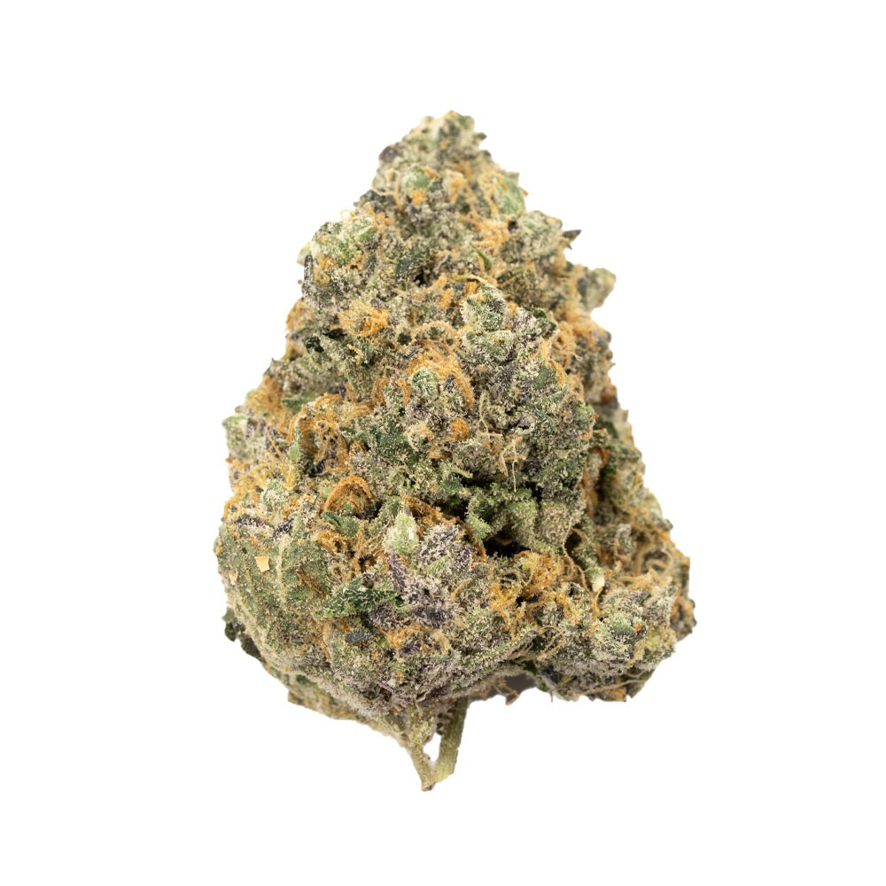 Dolato strain