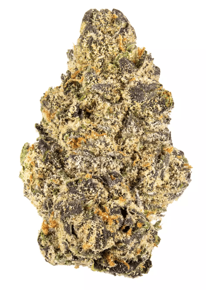 RUNTZ STRAIN