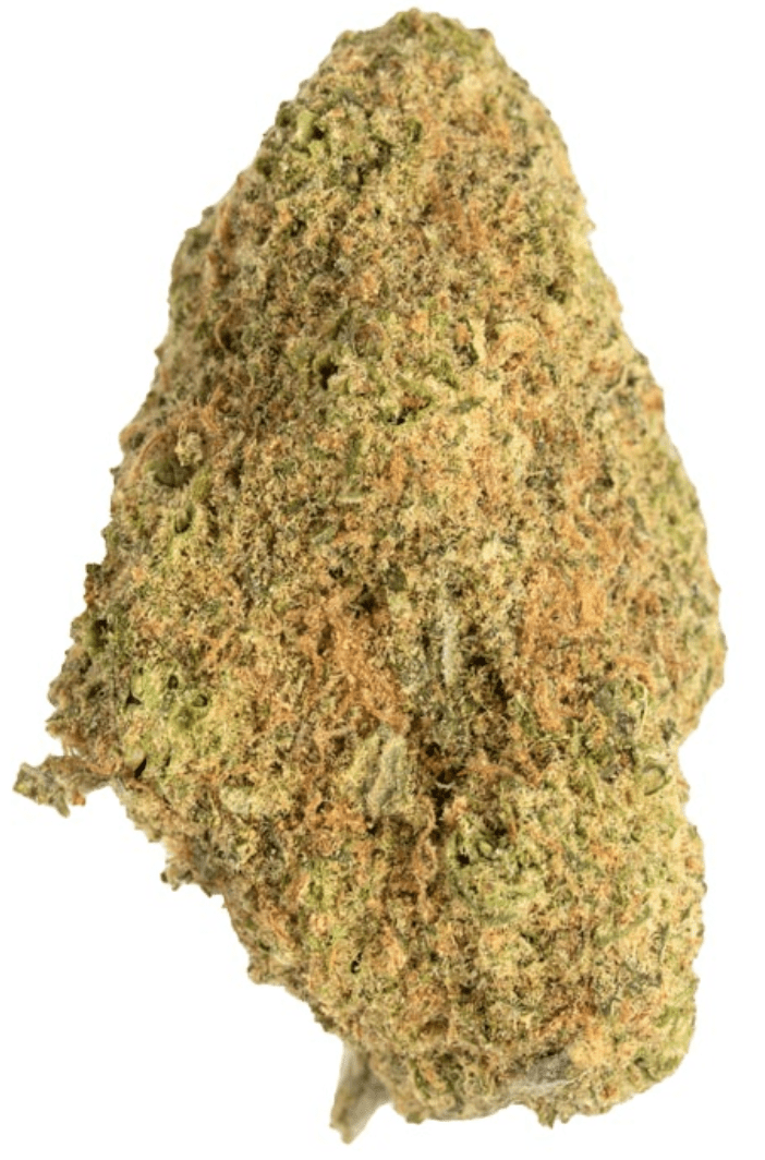 SUNSET OCTANE STRAIN