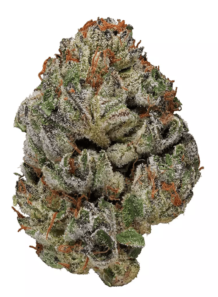 BIRTHDAY RUNTZ - Hybrid (AA)