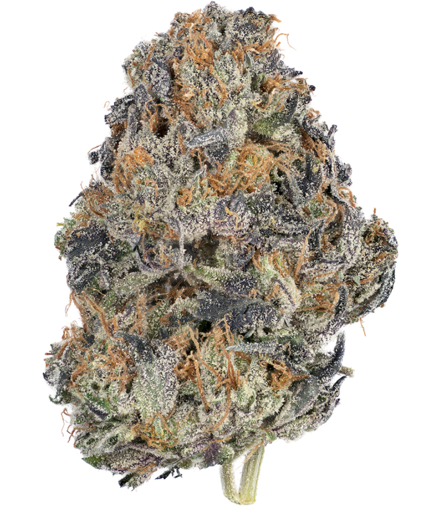 el chapo strain