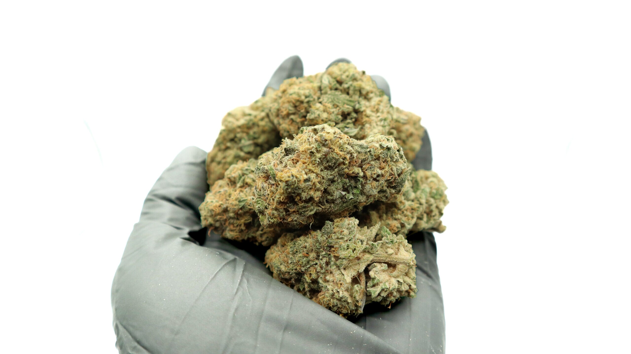 SOUR DIESEL - Sativa (AAA) - Image 3