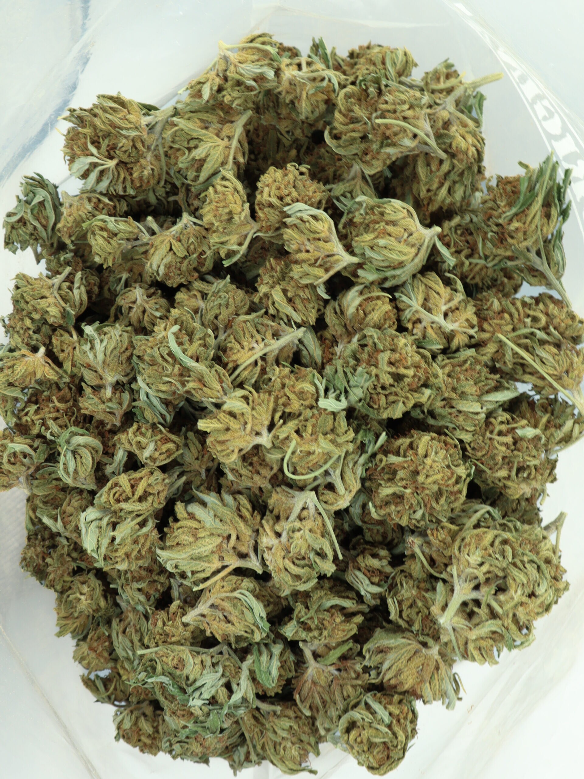 AK-47 - Hybrid (A+) - Image 3