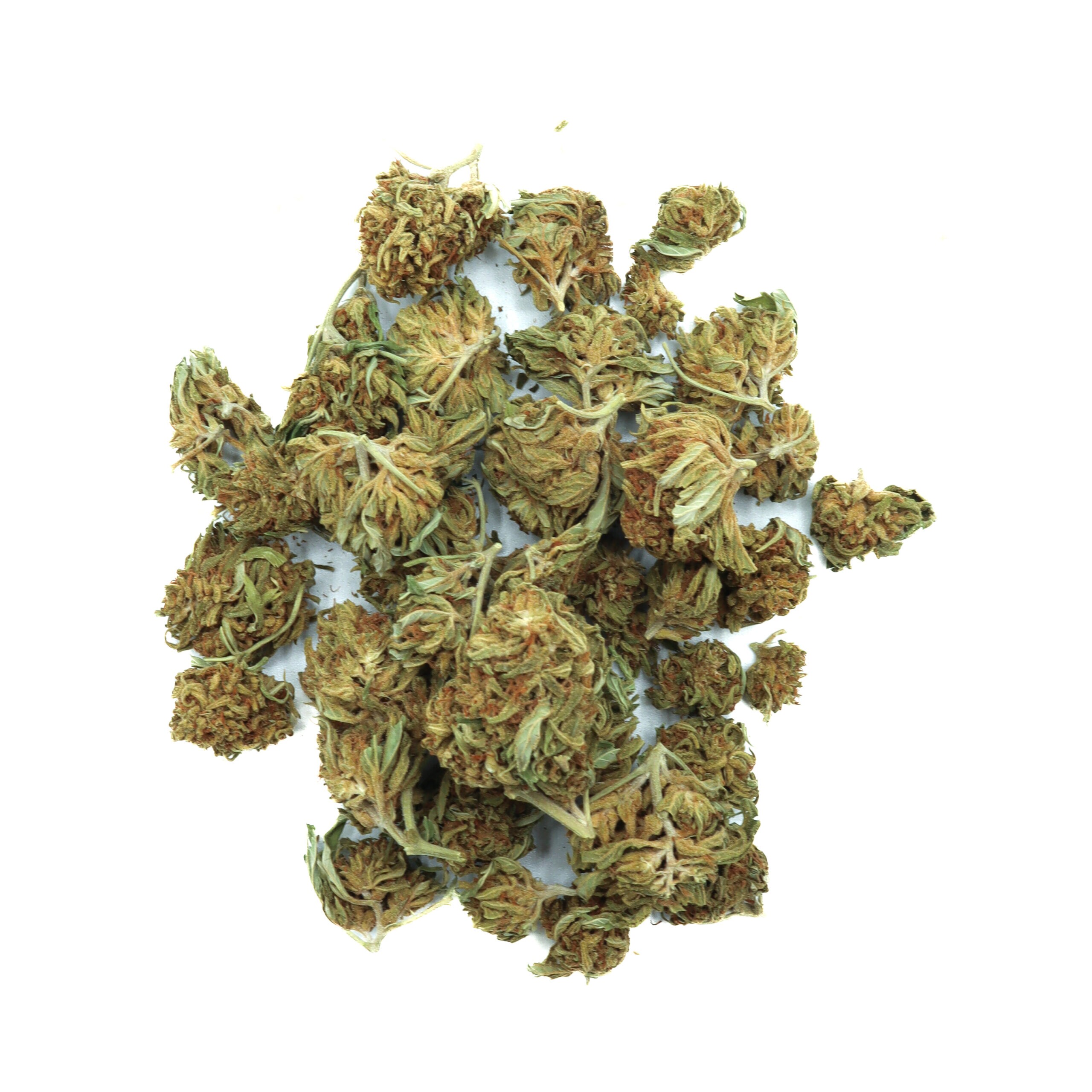 AK-47 - Hybrid (A+) - Image 2