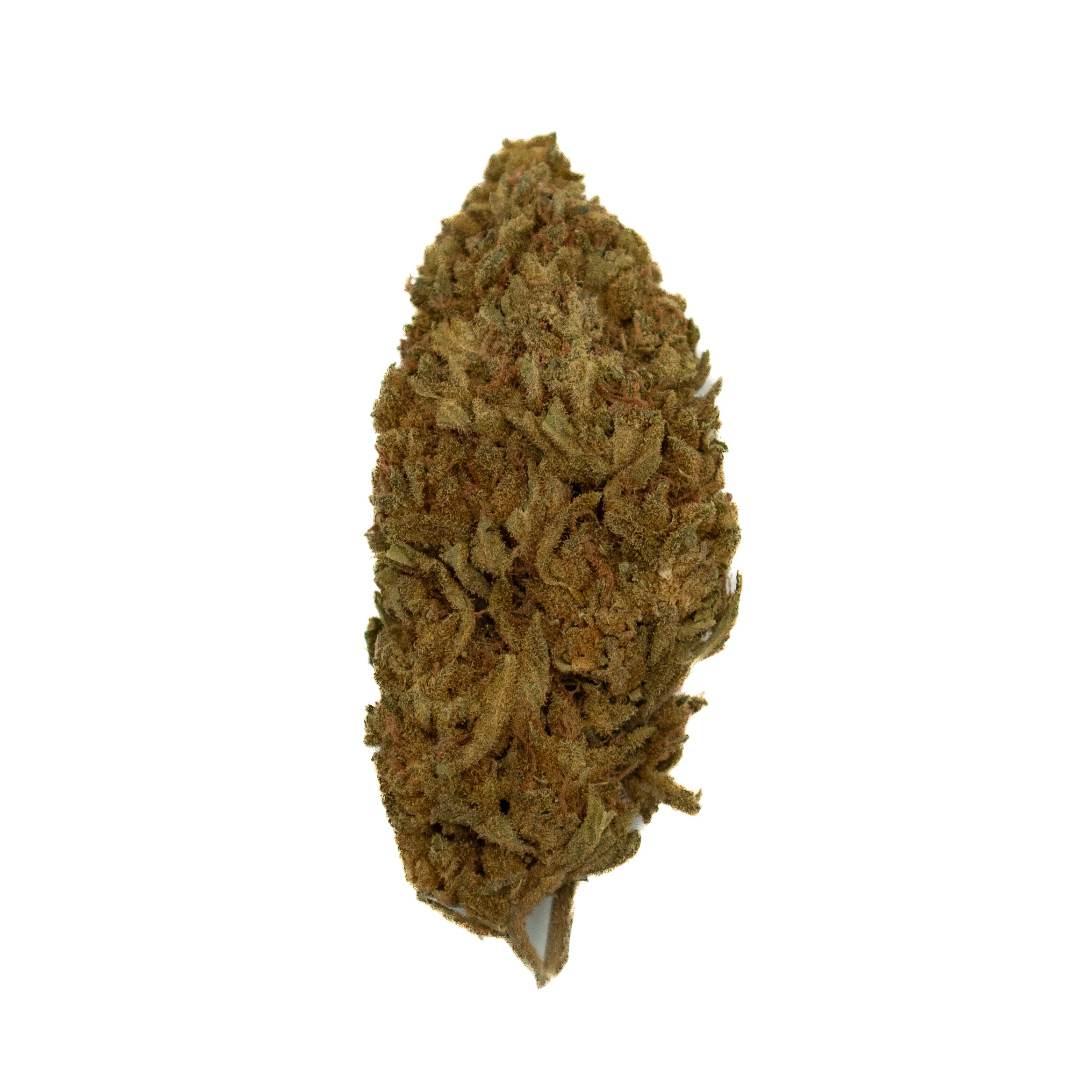9LB HAMMER - Indica (B) - Image 2