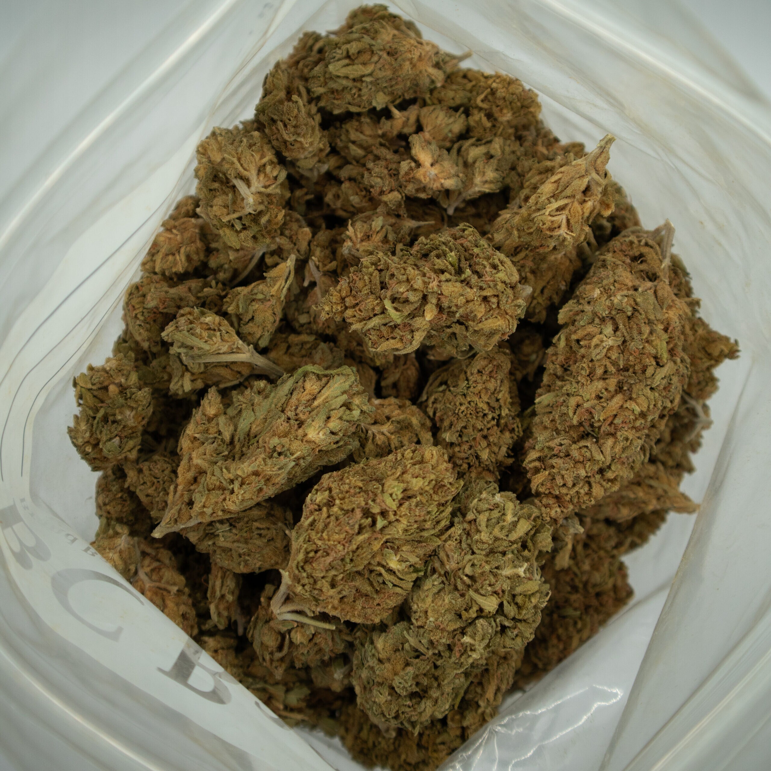 Buy 9lb Hammer Strain