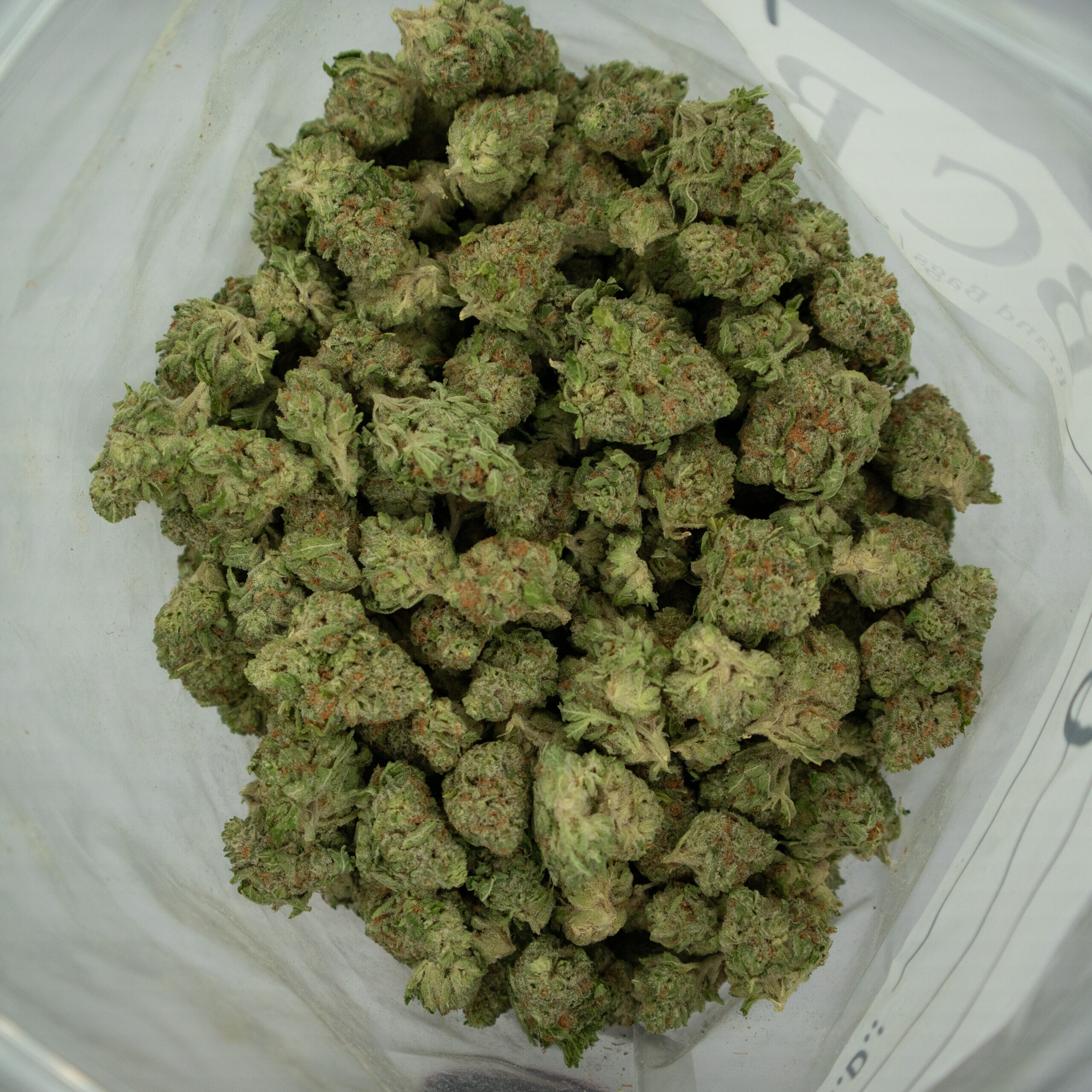 OG KUSH - Hybrid (AAA) - Image 3