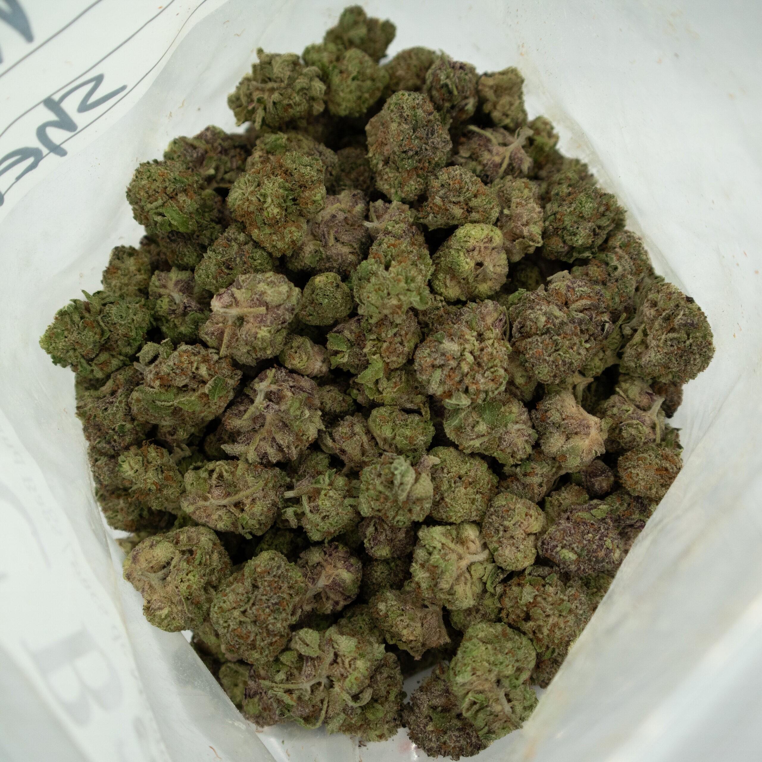 APPLE SHERBET - Sativa (AAA+) - Image 3