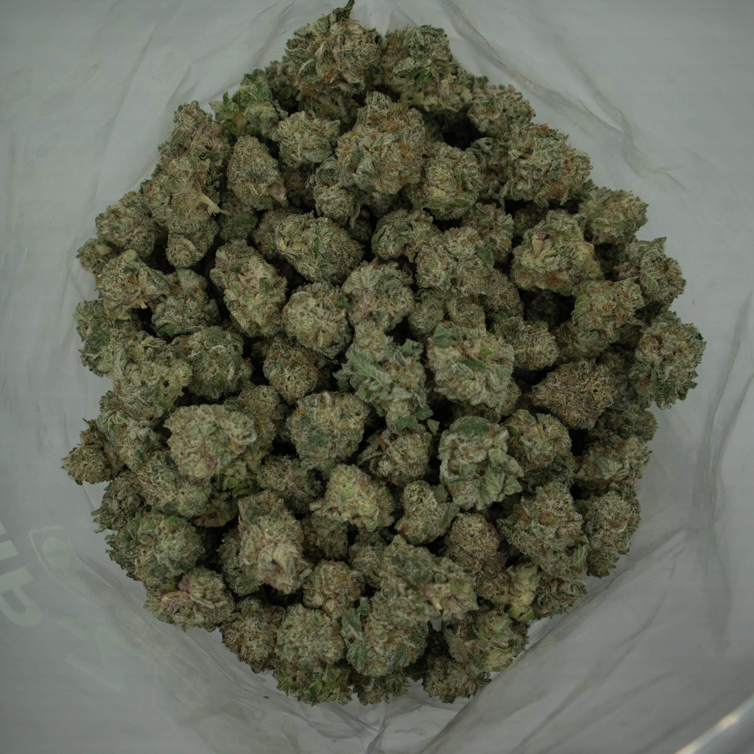 CEREAL MILK - Hybrid (AAAA) (Craft Cannabis) - Image 3