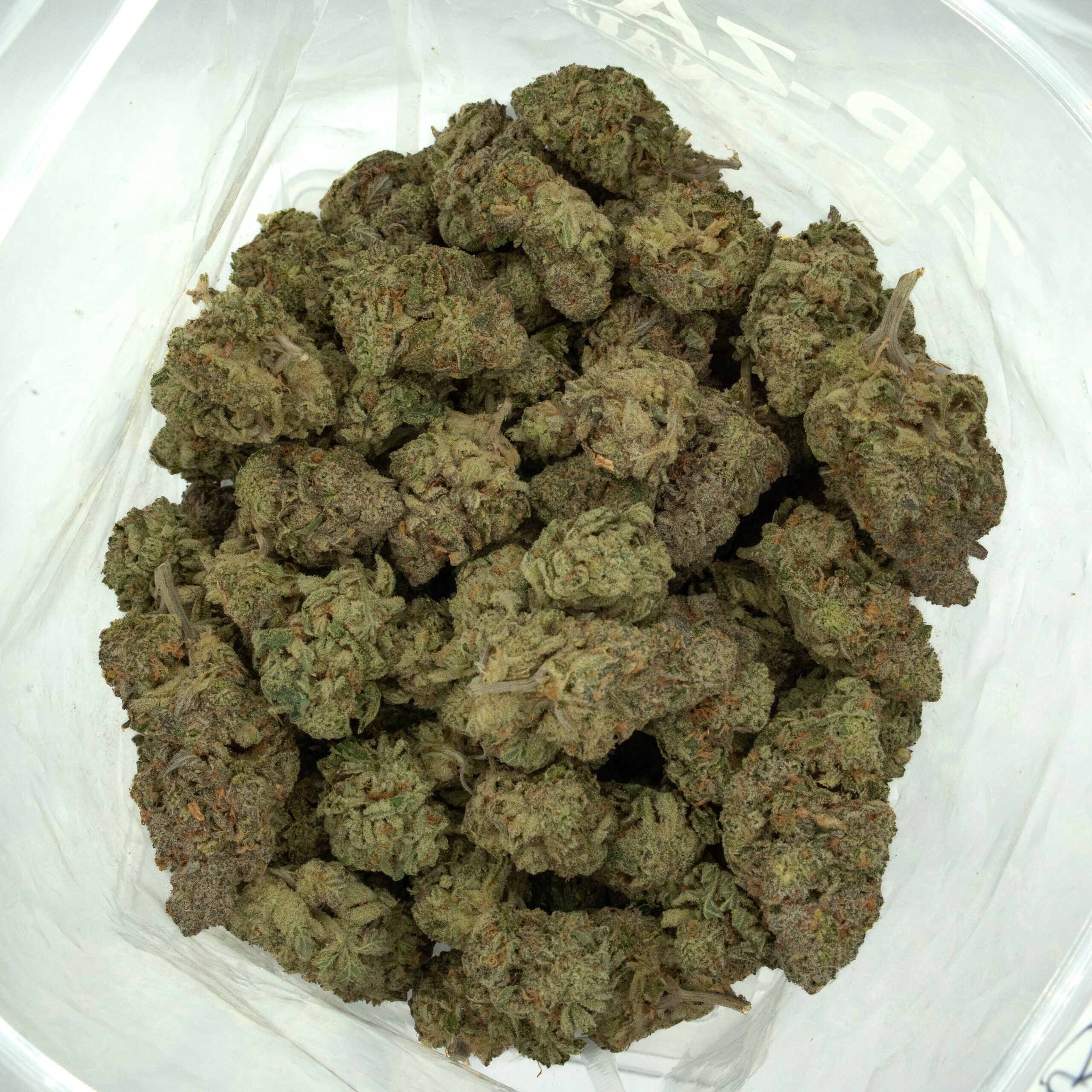 BLACKOUT BOBBY - Hybrid (AAA+) - Image 2