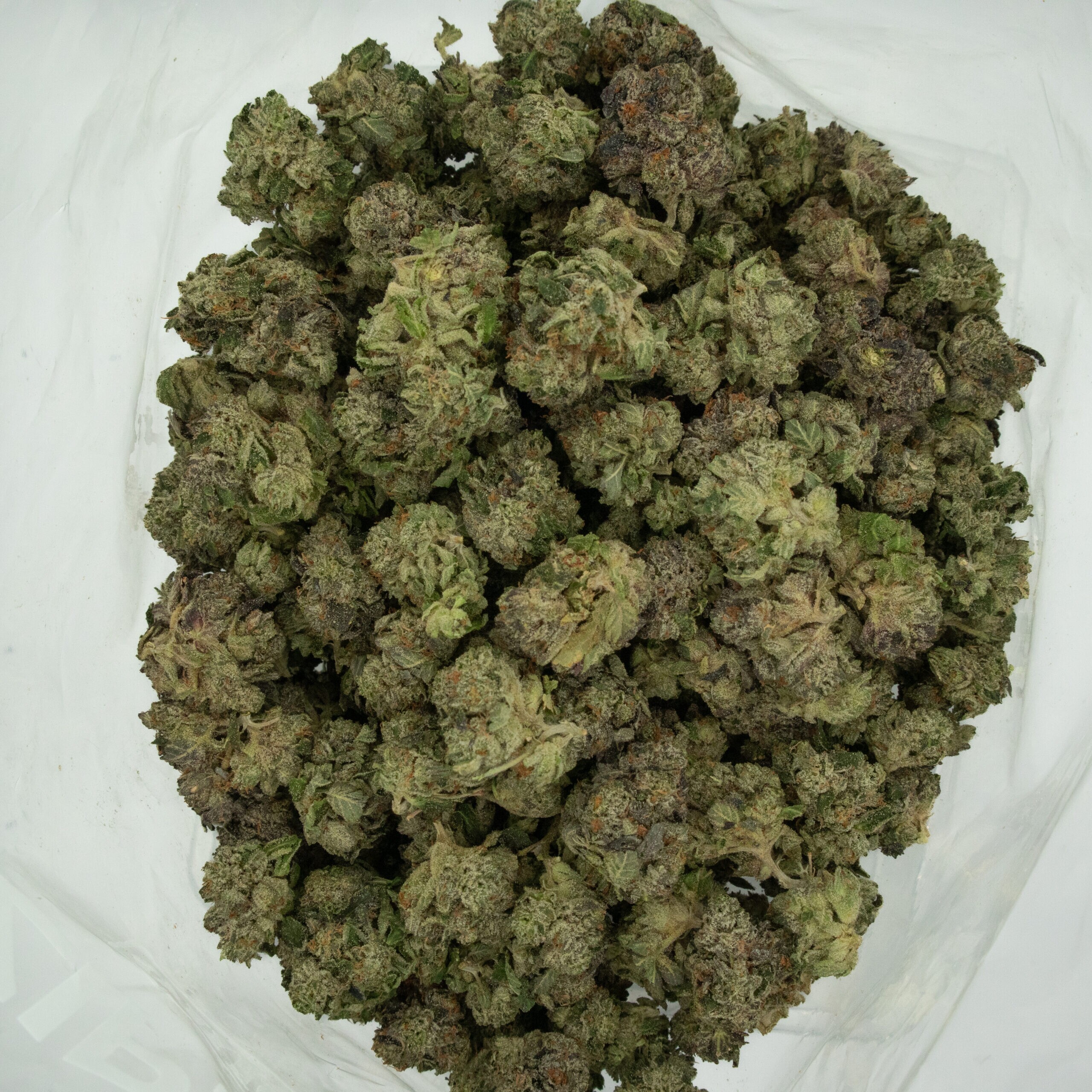 GUCCI PINK - Hybrid (AAA) - Image 2