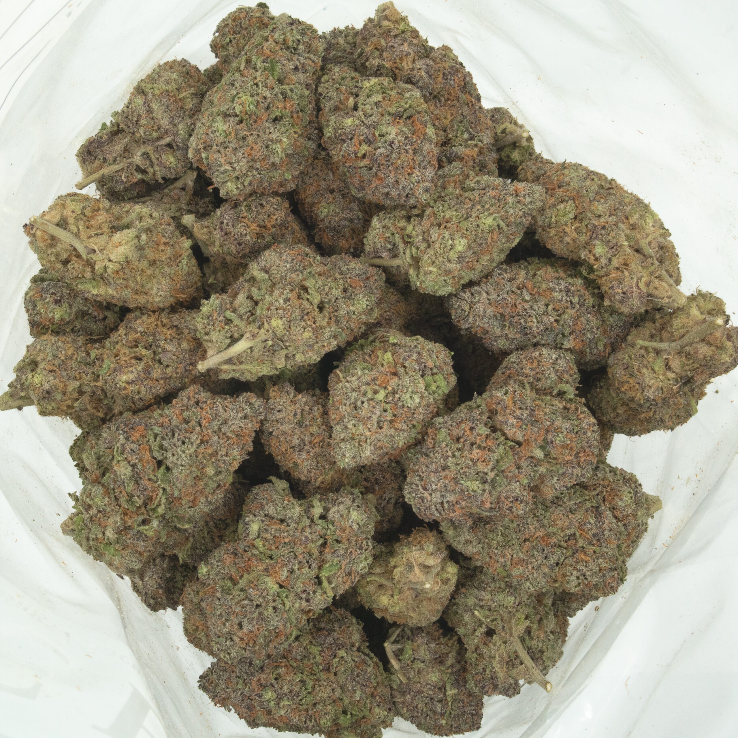 BLUEBERRY SUGAR - Hybrid (AAAA) - Image 2