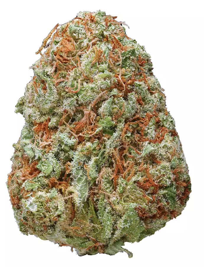 PURPLE URKLE STRAIN - Indica (AA+)