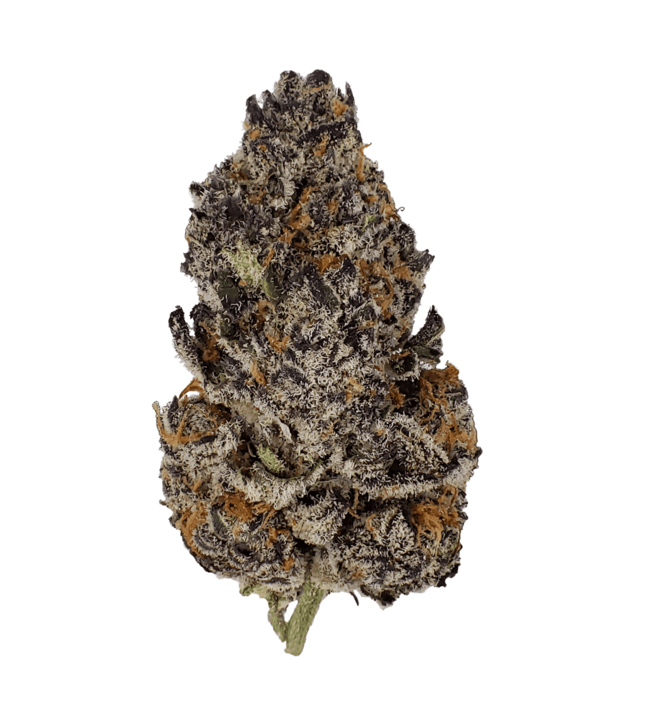 PURPLE DRANK BREATH #3- Hybrid (AAA)
