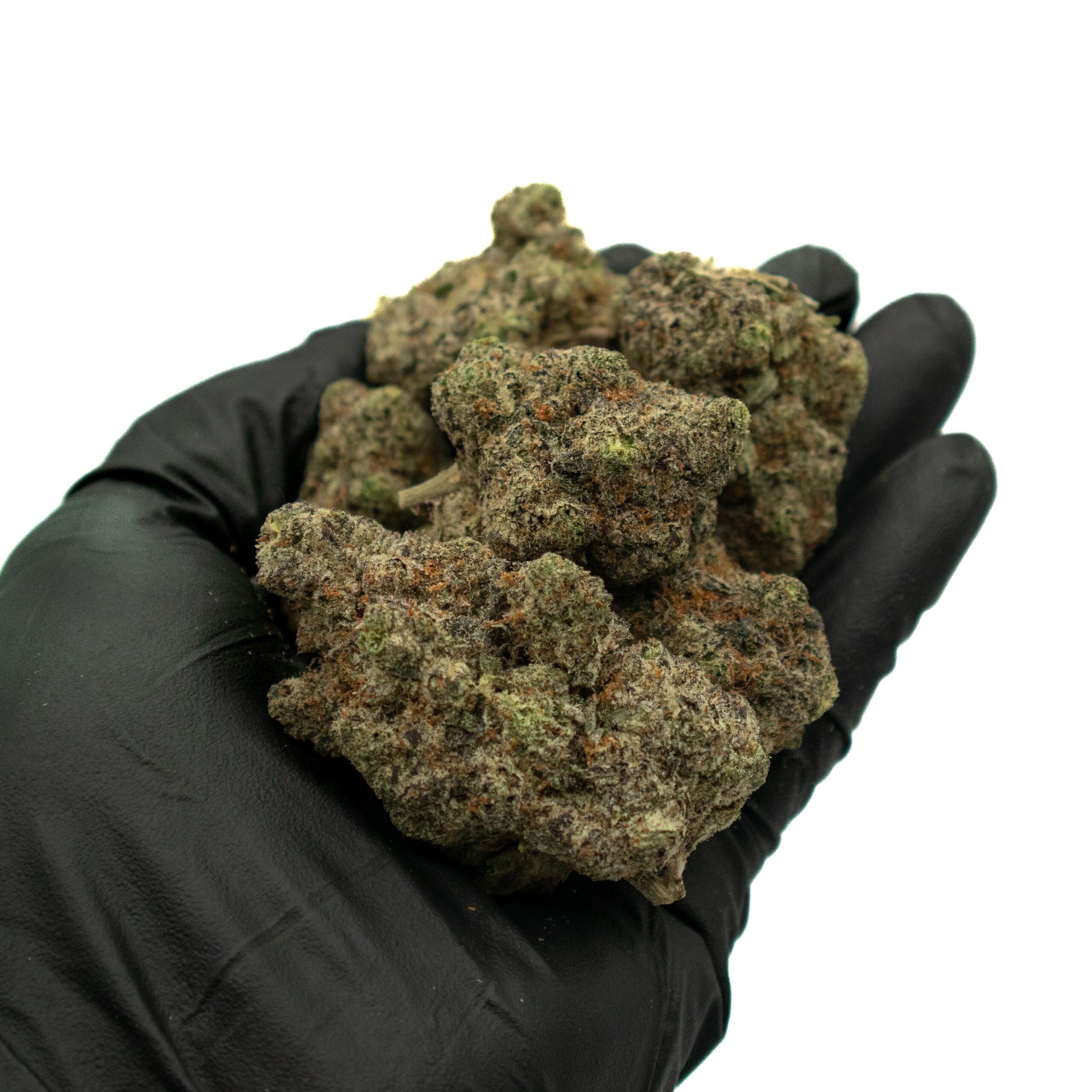 grapegas-2 Buy Grape Gas Strain