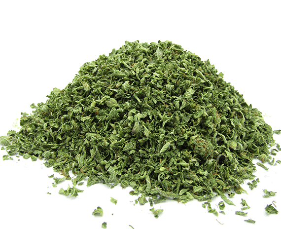 Cannabis Trim Cannabis Trim