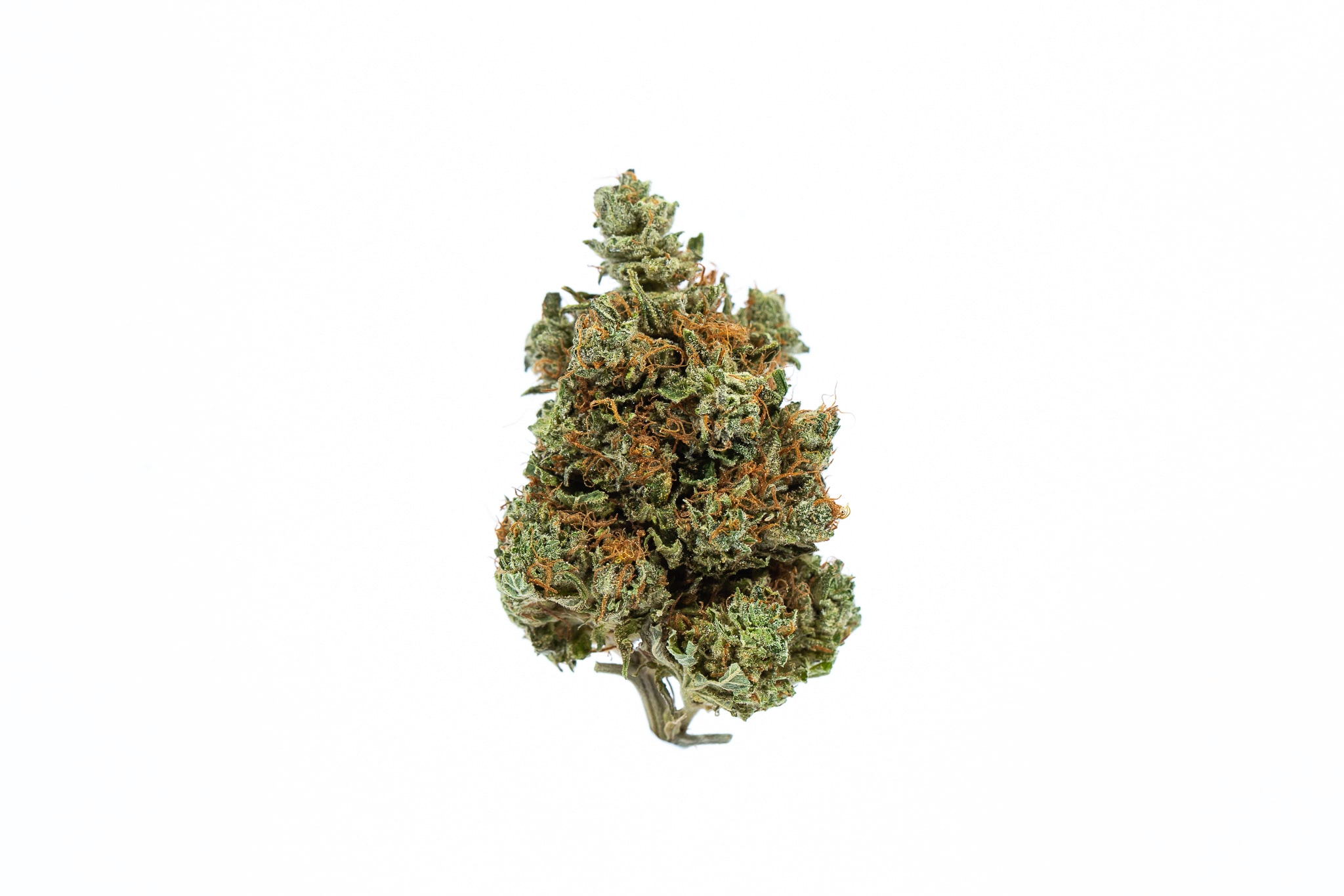 HINDU-KUSH