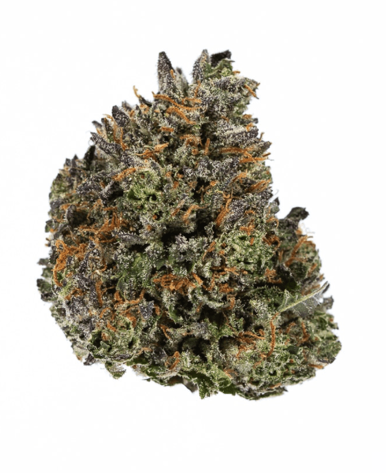 GEORGIAPINE GEORGIA PINE Weed Strain