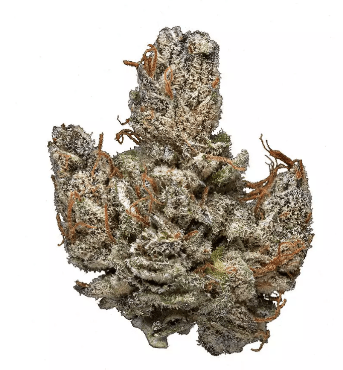 HINDU