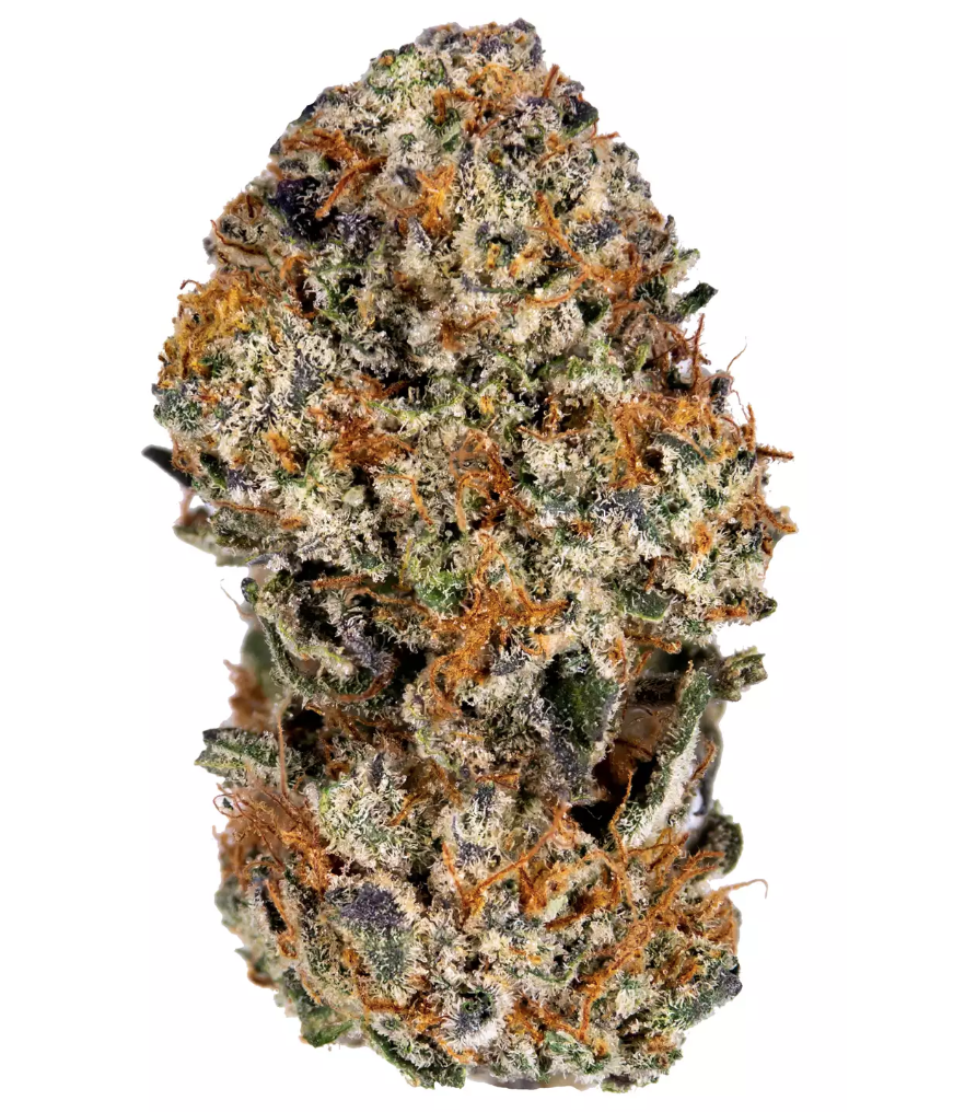 TANGIE COOKIES STRAIN - Hybrid (AAA)