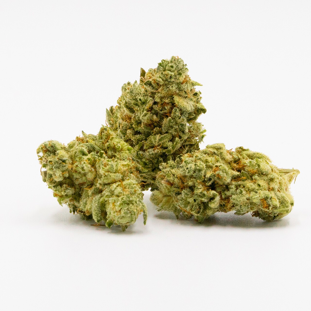 HARLEQUIN - Sativa (10% CBD / 5% THC)