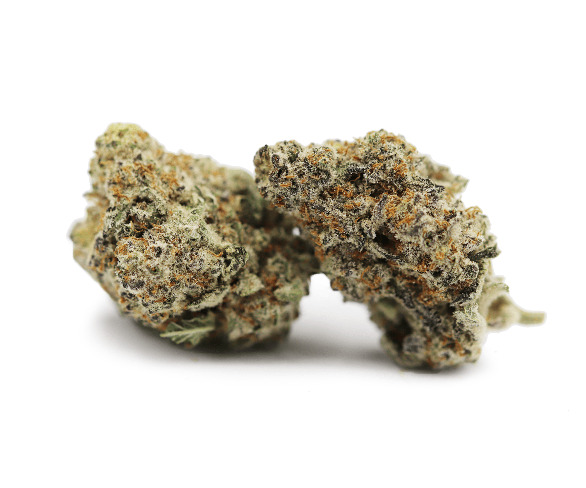 STRAWBERRIES & CREAM - Hybrid (AAAA)