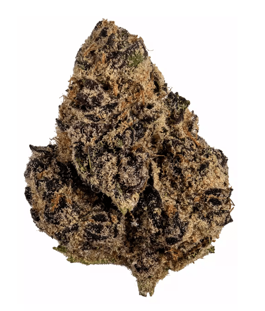 tropic truffle strain